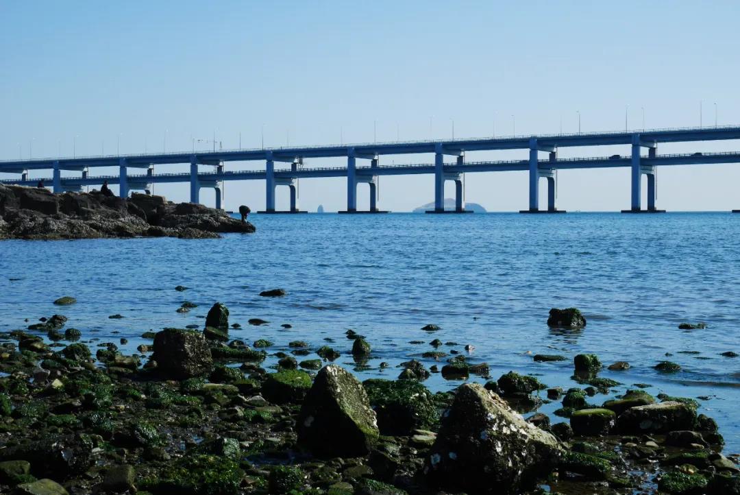 自考本科最容易通過的專業