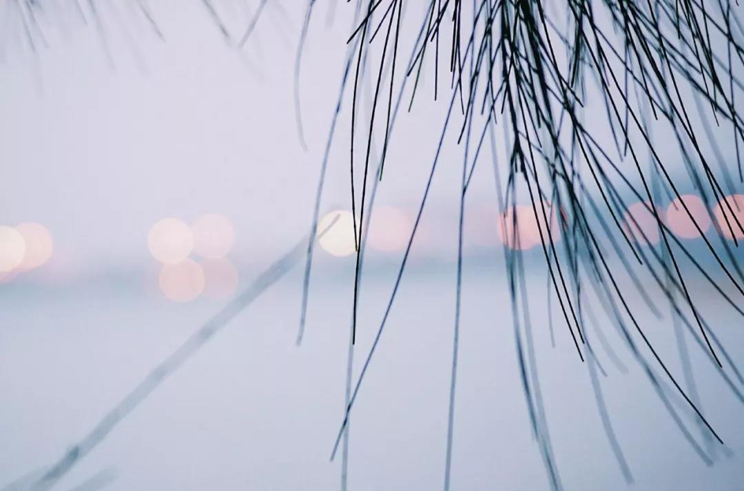 自考學士學位找工作難嗎?