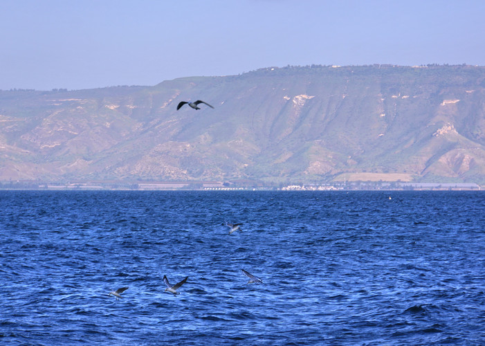 自考小學(xué)教育能入編嗎?