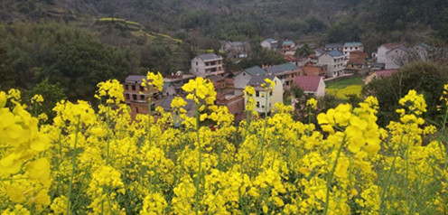 自考畢業(yè)生登記表重要嗎?